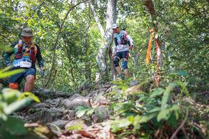 BIB: 
                            <button type="button" onclick="openModal(27698698)" class="btn btn-primary btn-sm float-right btn-popup" data-toggle="modal" data-target=".modal-high-quality">
                        <i class="fas fa-shopping-cart"></i> Add to Cart
                    </button>
                                            <button type="button" onclick="isThisMe(27698698, true)" class="btn btn-success btn-sm float-right btn-popup btn-isme hidden" data-toggle="tooltip" data-placement="bottom" title="นี่คือรูปของคุณใช่ไหม คลิกที่นี่เพื่อเอาเข้าอัลบั้ม">
                        <i class="fas fa-plus"></i> Add to album
                    </button>
                    <button type="button" onclick="isThisMe(27698698, false)" class="btn btn-warning btn-sm float-right btn-popup btn-isnotme hidden">
                        <i class="fas fa-ban"></i> Remove from album
                    </button>